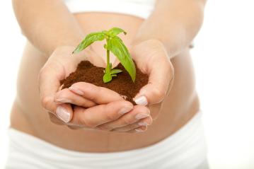 A close-up of hands holding soil with a small green plant sprouting, symbolizing growth, new beginnings, and nature, against a soft white background. : Stock Photo or Stock Video Download rcfotostock photos, images and assets rcfotostock | RC Photo Stock.: