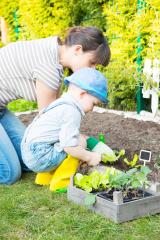A mother and her young child gardening together outdoors, planting seedlings in a vegetable bed, enjoying quality time in nature while nurturing plants and teaching eco-friendly habits : Stock Photo or Stock Video Download rcfotostock photos, images and assets rcfotostock | RC Photo Stock.:
