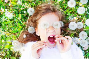 A playful child lying in a field of dandelions, holding two fluffy seeds in front of her eyes while laughing, surrounded by greenery and a joyful summer vibe : Stock Photo or Stock Video Download rcfotostock photos, images and assets rcfotostock | RC Photo Stock.:
