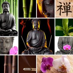 A serene collage featuring Buddha statues, bamboo, orchids, green leaves, incense, and Zen calligraphy, evoking peace, mindfulness, and tranquility with natural elements and spiritual symbols : Stock Photo or Stock Video Download rcfotostock photos, images and assets rcfotostock | RC Photo Stock.: