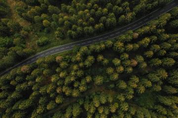 Aerial view a forest and a country road- Stock Photo or Stock Video of rcfotostock | RC Photo Stock