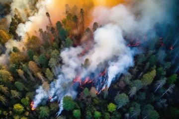 Aerial view of a forest fire, with intense flames consuming trees and thick smoke billowing upwards, contrasting with unscathed greenery- Stock Photo or Stock Video of rcfotostock | RC Photo Stock
