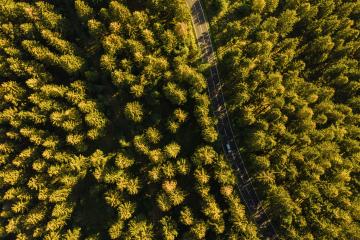 Aerial view of car driving through the forest on country road- Stock Photo or Stock Video of rcfotostock | RC Photo Stock