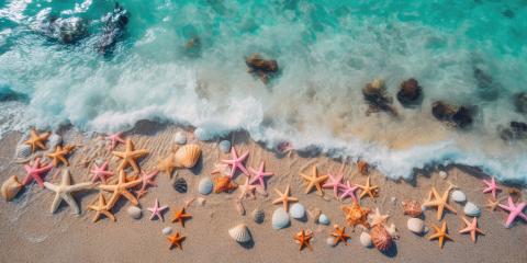 Aerial view of starfish and shells by the turquoise sea waves : Stock Photo or Stock Video Download rcfotostock photos, images and assets rcfotostock | RC Photo Stock.: