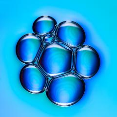Air bubbels in a petri dish at the laboratory- Stock Photo or Stock Video of rcfotostock | RC-Photo-Stock