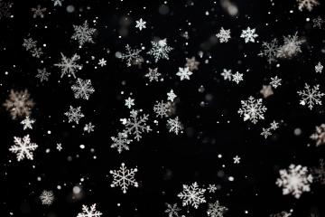 Assorted snowflakes descending softly on a black background
 : Stock Photo or Stock Video Download rcfotostock photos, images and assets rcfotostock | RC Photo Stock.: