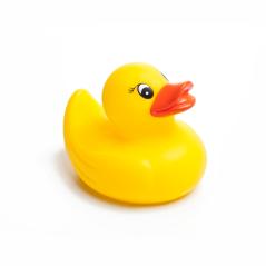 Badeente (quitscheentchen)  : Stock Photo or Stock Video Download rcfotostock photos, images and assets rcfotostock | RC Photo Stock.:
