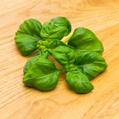basil leafs- Stock Photo or Stock Video of rcfotostock | RC-Photo-Stock