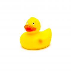 bath duck on white- Stock Photo or Stock Video of rcfotostock | RC Photo Stock