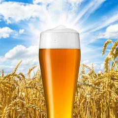 Bavarian wheat beer - Stock Photo or Stock Video of rcfotostock | RC-Photo-Stock