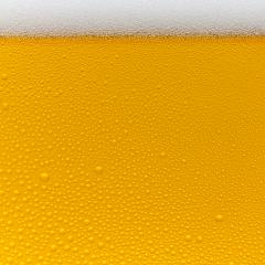 Beer foam crown with drops of condensation- Stock Photo or Stock Video of rcfotostock | RC-Photo-Stock