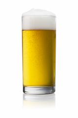 beer in a glass on white- Stock Photo or Stock Video of rcfotostock | RC Photo Stock