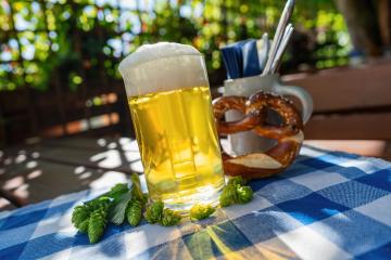 Beer mug with fresh pretzel or brezen and hops at Biergarten or Oktoberfest, Munich, Germany : Stock Photo or Stock Video Download rcfotostock photos, images and assets rcfotostock | RC Photo Stock.: