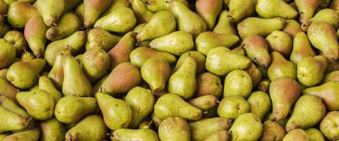 Big pile of Pears on marke, vegan food- Stock Photo or Stock Video of rcfotostock | RC Photo Stock