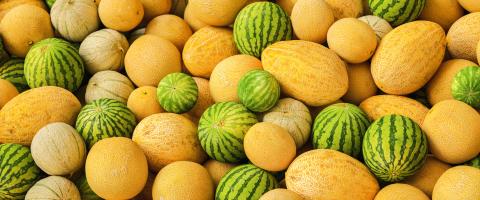 big pile of watermelons and honeydew melons - Stock Photo or Stock Video of rcfotostock | RC Photo Stock