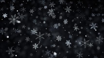 Black and white snowflakes on dark background
 : Stock Photo or Stock Video Download rcfotostock photos, images and assets rcfotostock | RC Photo Stock.: