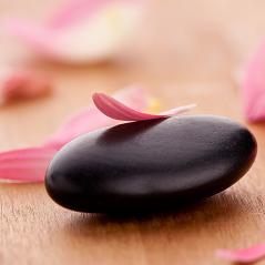black stone with leaves- Stock Photo or Stock Video of rcfotostock | RC-Photo-Stock