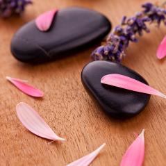 black stones with leaves and lavendel : Stock Photo or Stock Video Download rcfotostock photos, images and assets rcfotostock | RC-Photo-Stock.: