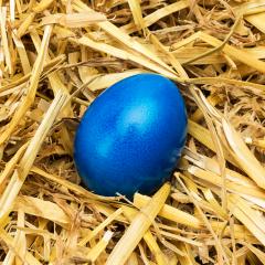 blue easter egg lie in straw- Stock Photo or Stock Video of rcfotostock | RC-Photo-Stock