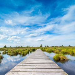 boardwalk over a bog lake with Blue Cloudy Sky- Stock Photo or Stock Video of rcfotostock | RC Photo Stock