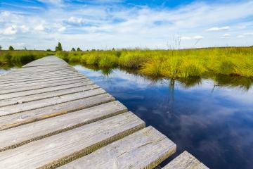 boardwalk over a bog lake with Blue Cloudy Sky- Stock Photo or Stock Video of rcfotostock | RC-Photo-Stock