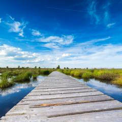 boardwalk over a bog lake with Blue Cloudy Sky- Stock Photo or Stock Video of rcfotostock | RC Photo Stock