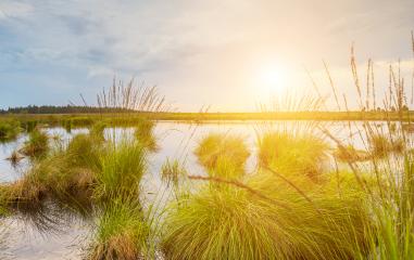 Bog lake with sunset in Belgium Veen landscape : Stock Photo or Stock Video Download rcfotostock photos, images and assets rcfotostock | RC-Photo-Stock.: