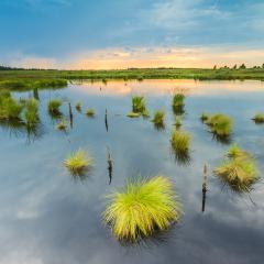 Bog lake with sunset in Belgium Veen landscape- Stock Photo or Stock Video of rcfotostock | RC-Photo-Stock