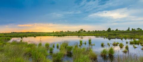 Bog lake with sunset in Belgium Veen landscape- Stock Photo or Stock Video of rcfotostock | RC Photo Stock