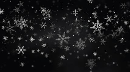 Bright snowflakes falling on a gradient black background
- Stock Photo or Stock Video of rcfotostock | RC Photo Stock