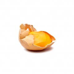 Broken egg isolated on white : Stock Photo or Stock Video Download rcfotostock photos, images and assets rcfotostock | RC-Photo-Stock.: