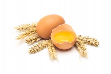 Brown eggs with corn ears- Stock Photo or Stock Video of rcfotostock | RC-Photo-Stock