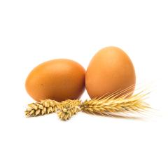 brown eggs with grain- Stock Photo or Stock Video of rcfotostock | RC Photo Stock