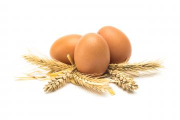 Brown eggs with grain and straw : Stock Photo or Stock Video Download rcfotostock photos, images and assets rcfotostock | RC-Photo-Stock.: