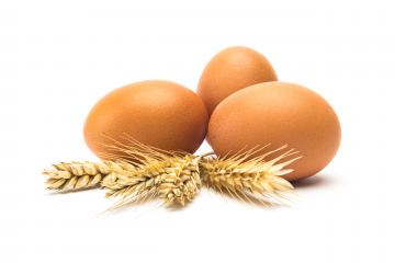 brown eggs with wheat ears- Stock Photo or Stock Video of rcfotostock | RC Photo Stock