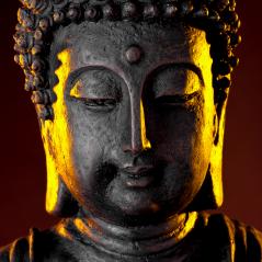 Buddha statue head with glow against black background- Stock Photo or Stock Video of rcfotostock | RC-Photo-Stock