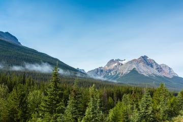 Canadian Rocky Mountains in the morning at jasper canada- Stock Photo or Stock Video of rcfotostock | RC-Photo-Stock