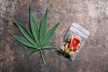 Cannabis buds in a plastic bag with drugstore sign and Hemp leaf. Concept of herbal alternative medicine, cbd oil, pharmaceutical industry or illegal drug use- Stock Photo or Stock Video of rcfotostock | RC-Photo-Stock