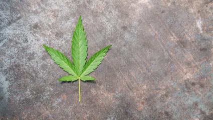cannabis leaf on old metallic table.  copyspace for your individual text.- Stock Photo or Stock Video of rcfotostock | RC Photo Stock