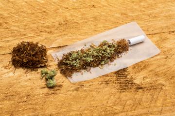 cannabis with tobacco on a paper for roll a joint : Stock Photo or Stock Video Download rcfotostock photos, images and assets rcfotostock | RC Photo Stock.: