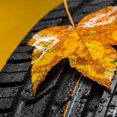 Car tire with Raindrops and autumn leaves on brown background : Stock Photo or Stock Video Download rcfotostock photos, images and assets rcfotostock | RC Photo Stock.: