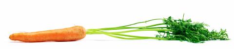 Carrot raw vegetables on white- Stock Photo or Stock Video of rcfotostock | RC-Photo-Stock