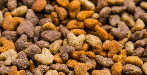 Cat Dry food background  - Stock Photo or Stock Video of rcfotostock | RC-Photo-Stock