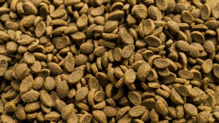 Cat food background texture- Stock Photo or Stock Video of rcfotostock | RC-Photo-Stock