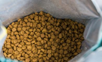 Cat food in the packet- Stock Photo or Stock Video of rcfotostock | RC Photo Stock