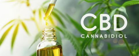 CBD droplet dosing a biological and ecological hemp plant herbal pharmaceutical cbd oil from a jar. Concept of herbal alternative medicine, cbd oil, pharmaceutical industry : Stock Photo or Stock Video Download rcfotostock photos, images and assets rcfotostock | RC-Photo-Stock.:
