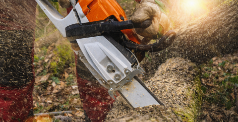 Chainsaw that stands on a heap of firewood in the yard on a beautiful background of green grass and forest. Cutting wood with a motor tester- Stock Photo or Stock Video of rcfotostock | RC-Photo-Stock