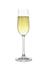 champagne in a glass on white background- Stock Photo or Stock Video of rcfotostock | RC Photo Stock
