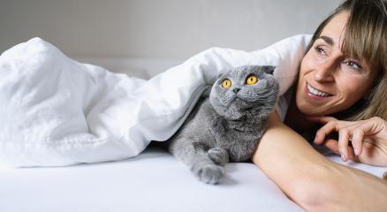 Cheerful woman with blonde hair hiding under white blanket with her cat on the bed at home and looks left interested - Stock Photo or Stock Video of rcfotostock | RC-Photo-Stock