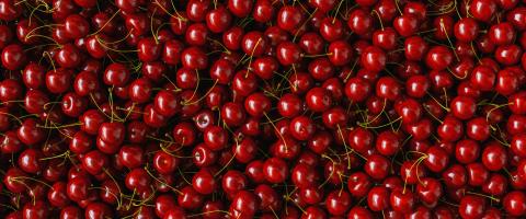 Cherry background. Cherry top view, banner size- Stock Photo or Stock Video of rcfotostock | RC Photo Stock